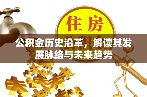宝塔公积金历史沿革，解读其发展脉络与未来趋势